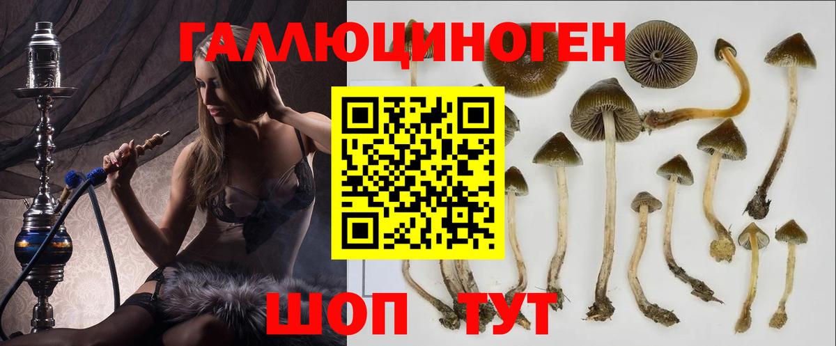 Галлюциногенные грибы GOLDEN TEACHER  Вход с VPN  Йошкар-Ола 
