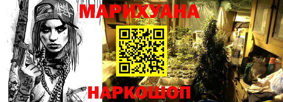 Канабис сатива Йошкар-Ола